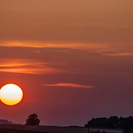 Rosenpflanzer Bad Oeynhausen