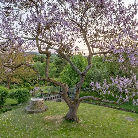 Rosenpflanzer Apartmán *