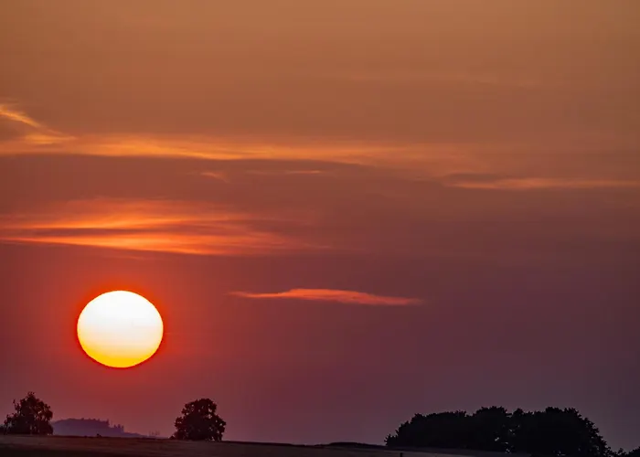 Rosenpflanzer Bad Oeynhausen