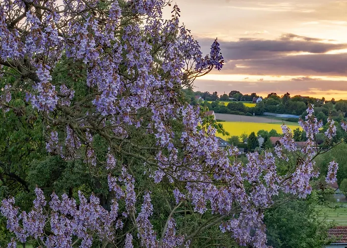 Appartement Rosenpflanzer *