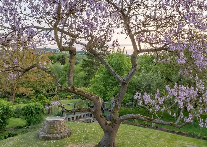 Rosenpflanzer Appartement *